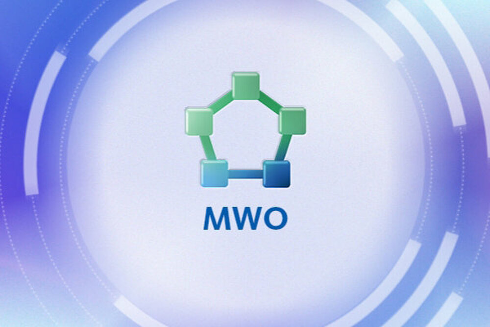 Monositoz İş Akışı Optimizasyonu (MWO)