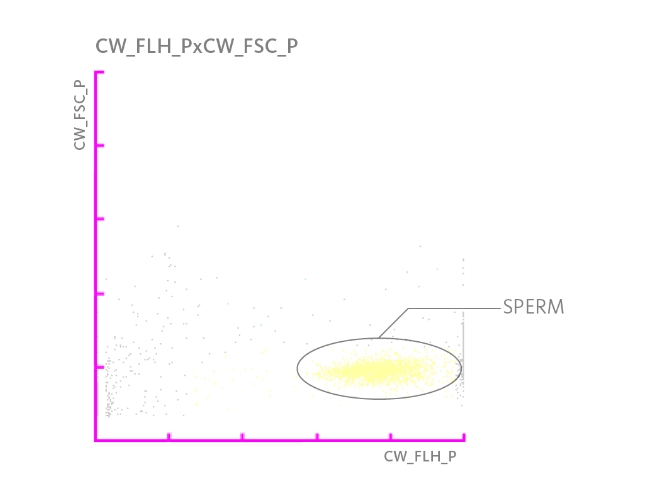 Bir idrar örneğinde spermatozoa popülasyonunun vurgulandığı saçılım grafiği.